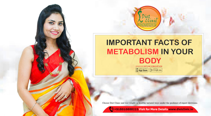 Important Facts of Metabolism in your Body 