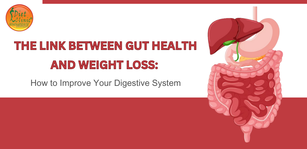 The Link Between Gut Health And Weight Loss: How To Improve Your ...