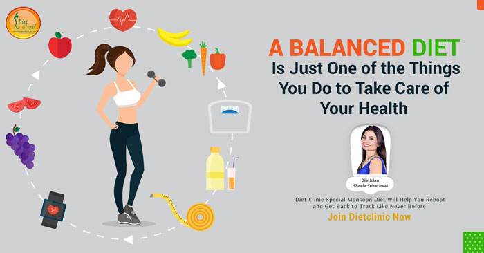 Take your own customized diet plan for getting a proper health and fitness